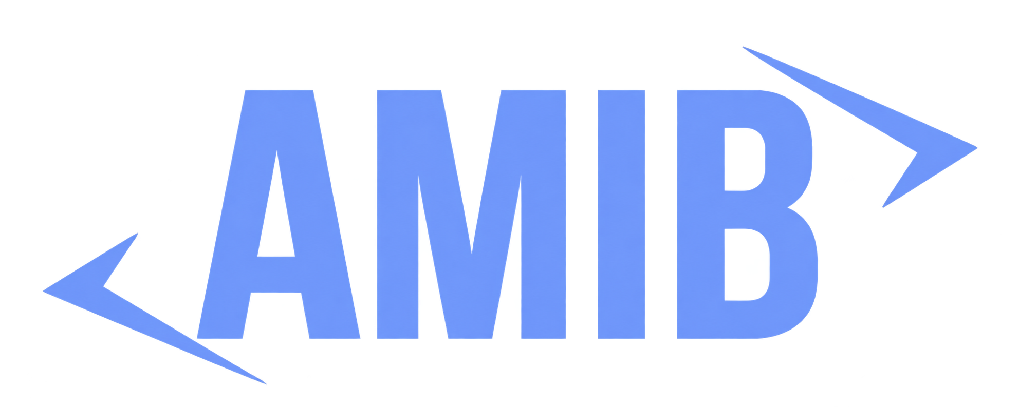 AMIB | Asociace manažerů informační bezpečnosti